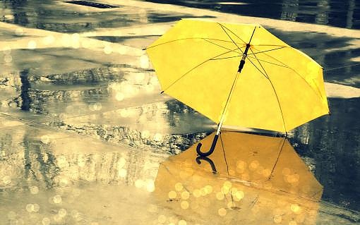 Най-странните чадъри (СНИМКИ)