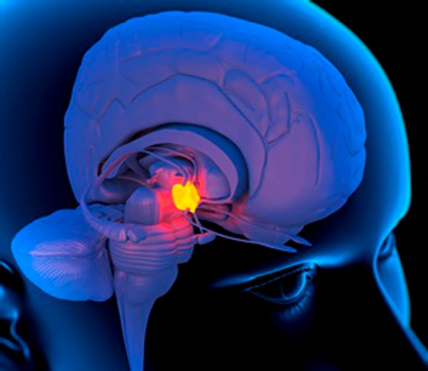 Пробив на учените: Откриха „корените на злото&quot; в мозъка!