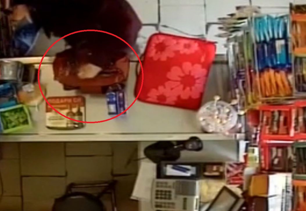 Учителка краде бонбони пред окото на камерата (ВИДЕО)