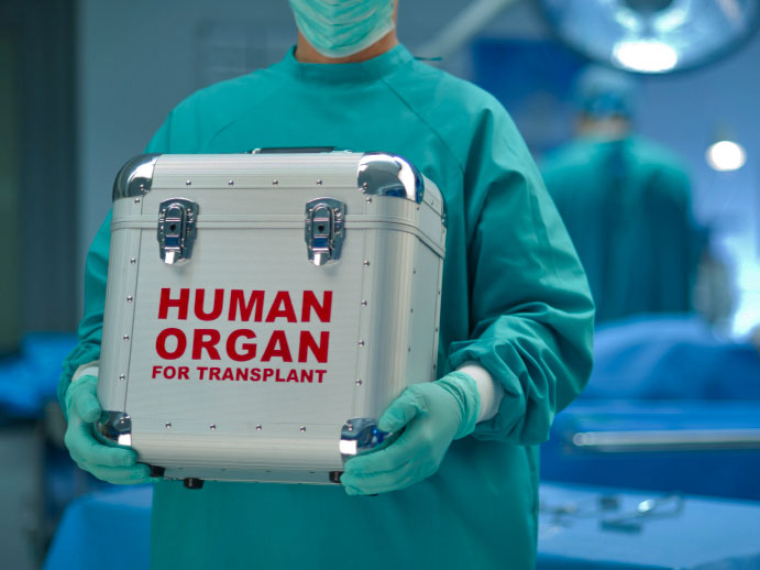 Жена от Търново спаси трима с органите си