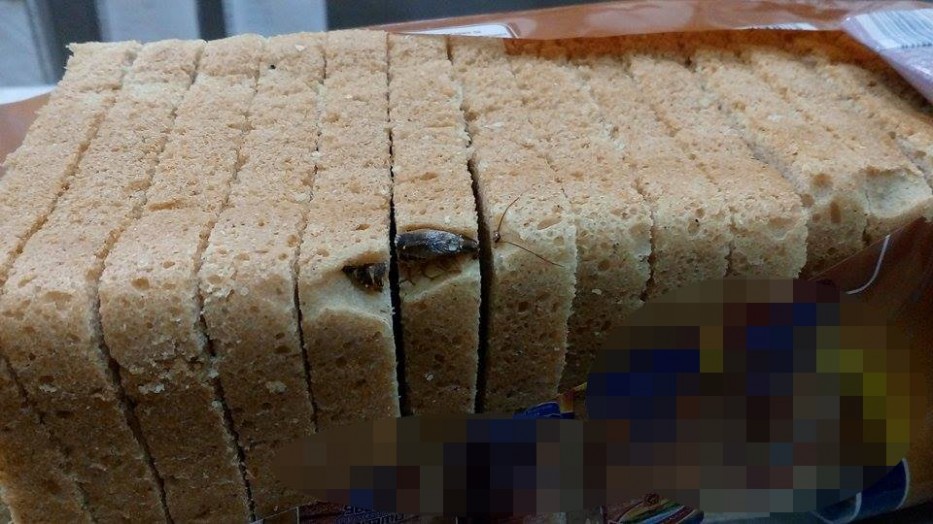 Кошмарен сигнал от варненка: Купих си този хляб, но когато го отворих ми прилоша (СНИМКИ)