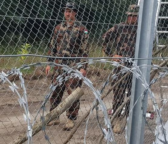 Унгария се пази зверски, като на война! Стовари хеликоптери, термокамери и кучета на границата