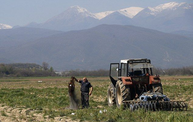 Гръцки фермер не издържа и изора палатките на бежанците с трактора си (ВИДЕО)  