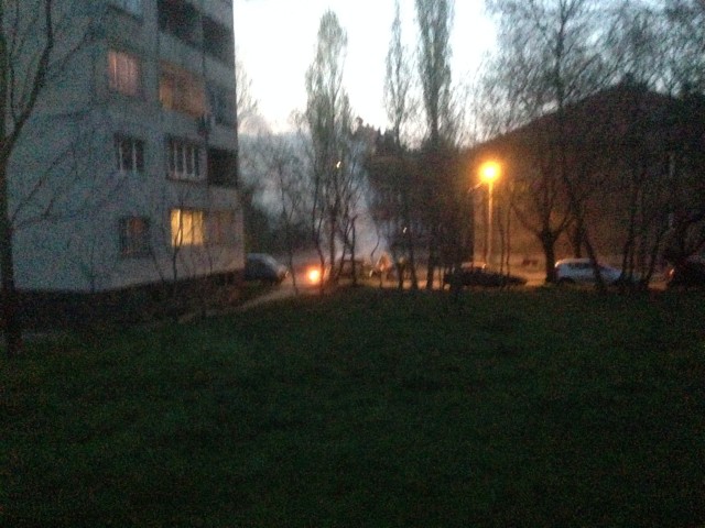 Запалиха кола близо до столично школо (СНИМКИ)