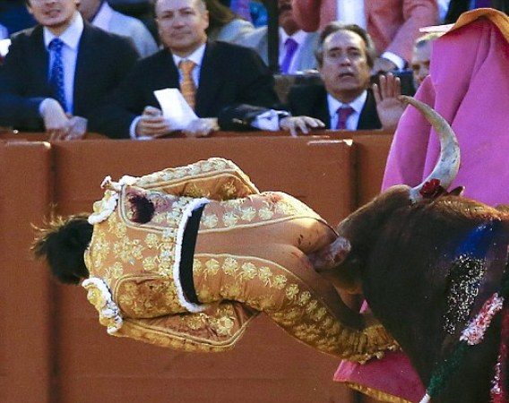 Ужасяващо: Бик прободе матадор в задника, размята го като кукла (СНИМКИ/ВИДЕО 18+)
