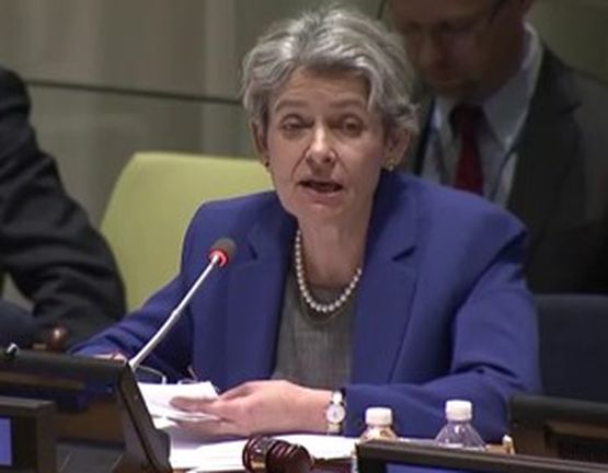 Първо изпитание за Ирина Бокова в ООН