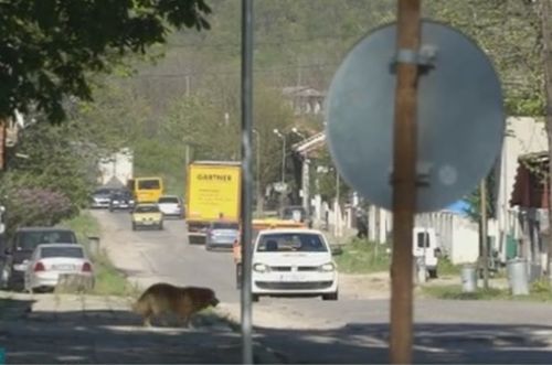 Влудените от трафика в Димово готвят блокада на всички подстъпи към Видин