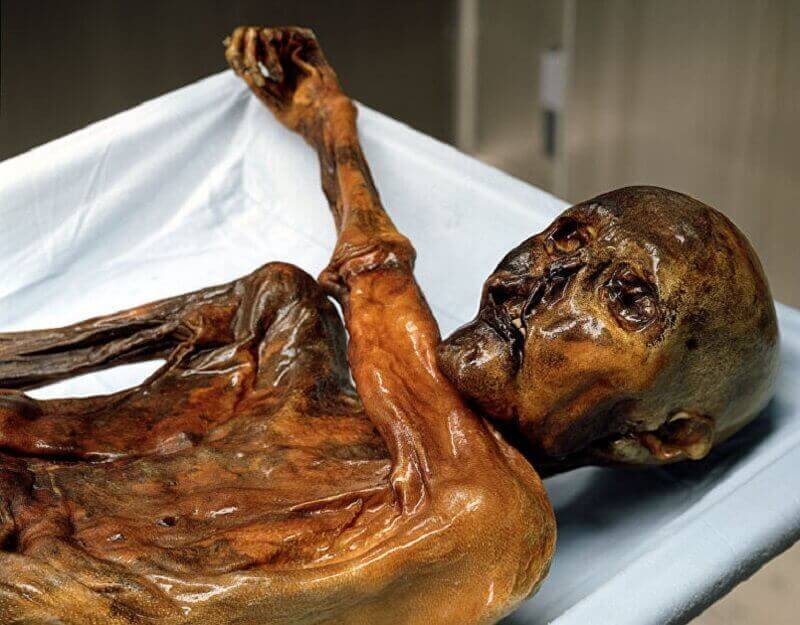 Учени „възкресиха“ Проклетата мумия