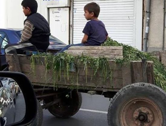 Опасно: Невръстни ромчета подкараха каруца в час пик по софийски булевард (СНИМКИ)