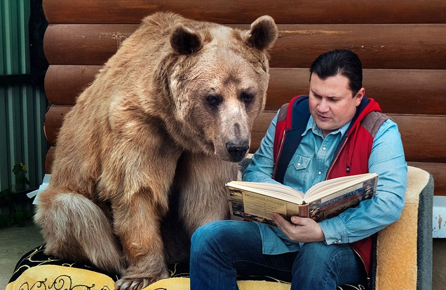 Руска двойка осинови... мечка! 23-годишният Стефан играе футбол, пие чай и обича да гледа телевизия (СНИМКИ/ВИДЕО)