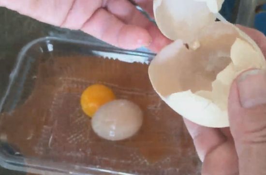 Няма да повярвате какво чудо излезе от това яйце (ВИДЕО)