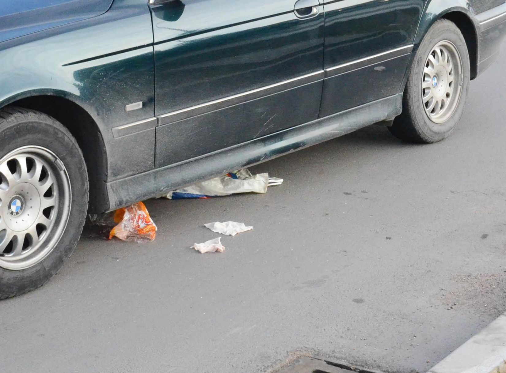 Първо в БЛИЦ: Жертвата при мелето в Рогош изскочила от храстите, шофьорът не видял пияния ром