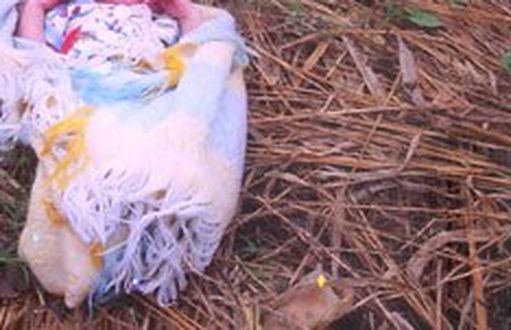 Смразяващо разкритие: Майката, захвърлила бебето си в Кърджали, го родила живо