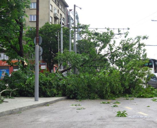 Силният вятърът направи куп поразии в центъра на София (СНИМКИ)