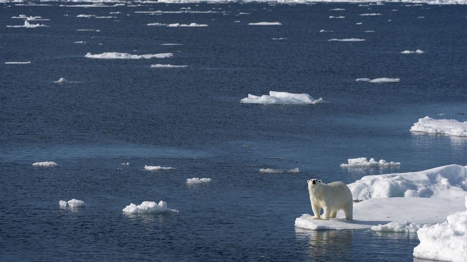 Гибелни промени: Космически апарат засне зловещи гигантски пукнатини в ледовете на Арктика