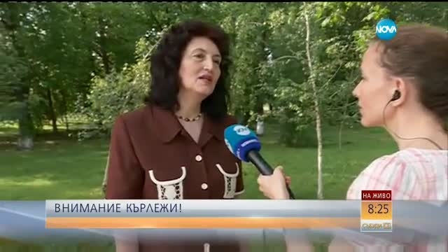 Как да извадим кърлежа сами и да се предпазим от опасни болести (ВИДЕО)