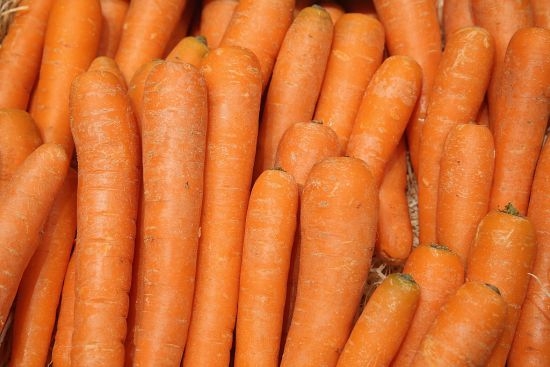 Американец отгледа най-големия морков в света за всички времена (СНИМКА/ВИДЕО)