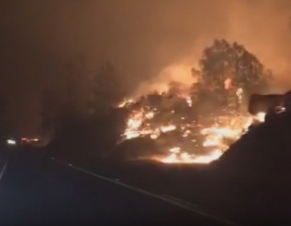 Горски пожар в Калифорния е изпепелил 150 къщи (ВИДЕО)