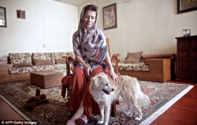 Иран ще забранява домашните кучета