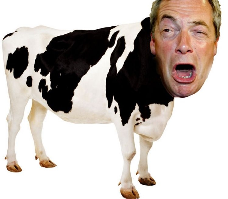 Жестока гавра с Брекзита в интернет: „Луда крава” е виновна за катастрофалния вот
