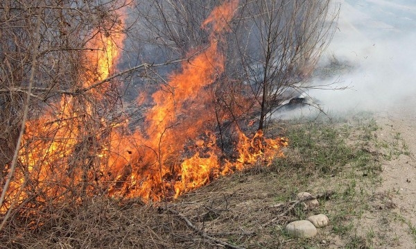 Пловдивско село се размина на косъм! Огънят достигна на метри от домовете!