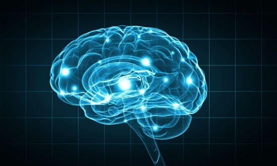 Учени доказаха, че пътешествията трансформират мозъка