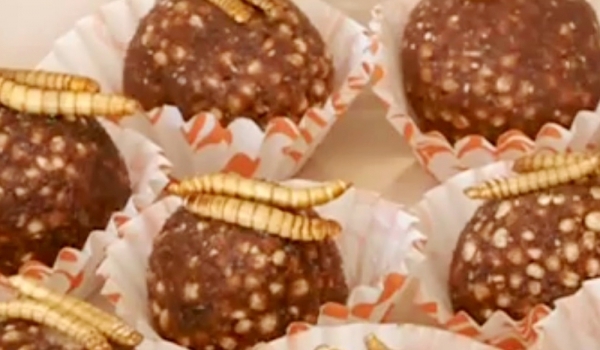 Българка приготвя невероятни сладкиши от насекоми