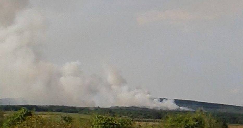 Пожар гори край Варна (СНИМКИ)