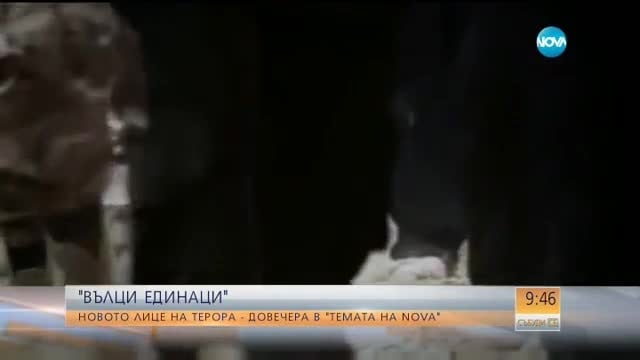 Новият профил на терора – единак самоубиец (ВИДЕО)