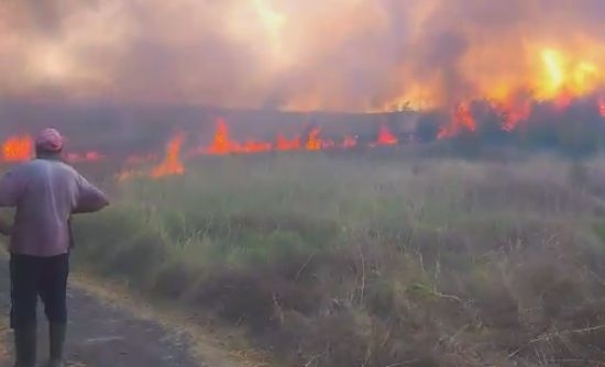 Какво се случва! Пореден пожар: Пламъци обхванаха вилната зона в Банево (ВИДЕО)