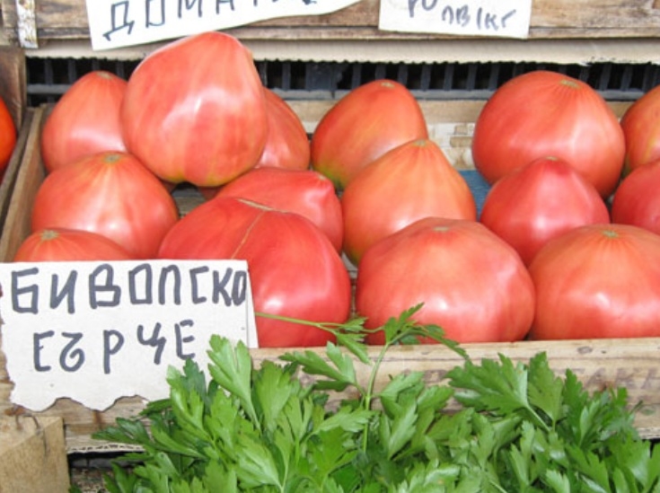 Брюксел точи тесла за българския розов домат