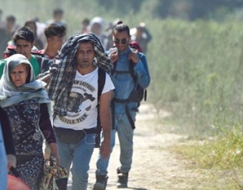 Спипаха в крачка 87 нелегални мигранти на сръбската граница