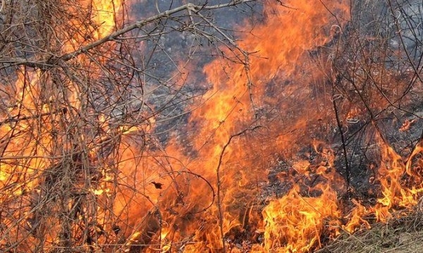 Нов пожар пламна в Сакар планина