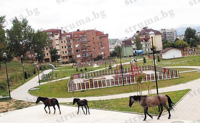 Няма да повярвате какво се случва в новия парк под кръговото кръстовище в Благоевград! (СНИМКИ)