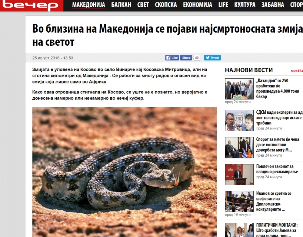 Една от най-отровните змии бе уловена в Косово