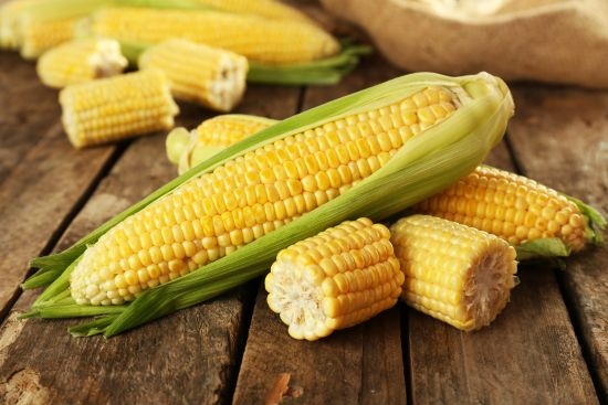  Еврокомисията разреши 5 вида ГМО, били безопасни