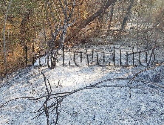 Съобщиха подробности за състоянието на кмета, който пострада в борбата с огнената стихия край Харманли 