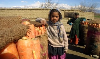 Мръсните пари на Афганистан, или как работи системата хавала  