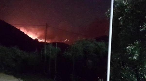 Има много пострадали при гасенето на пожарите на Тасос