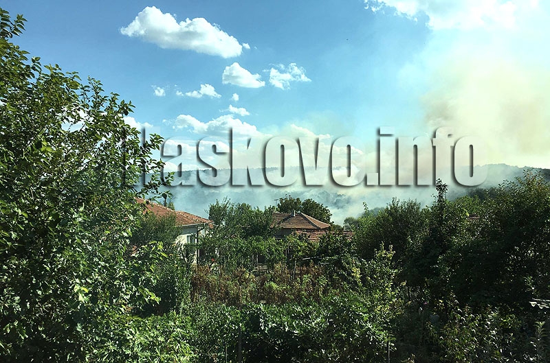 Лумна гората край Стамболийски, ловци спасиха къщи от пламъците (СНИМКИ)