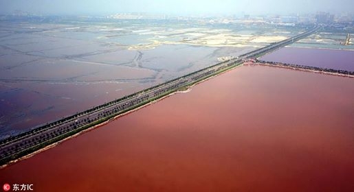 Китайското мъртво море се превърна в кърваво езеро (СНИМКИ)