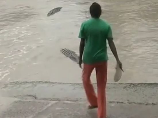 И това го има: Жена прогони крокодил с джапанка (ВИДЕО)