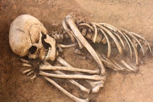 Идентифицираха скелета, открит в нива в Монтанско