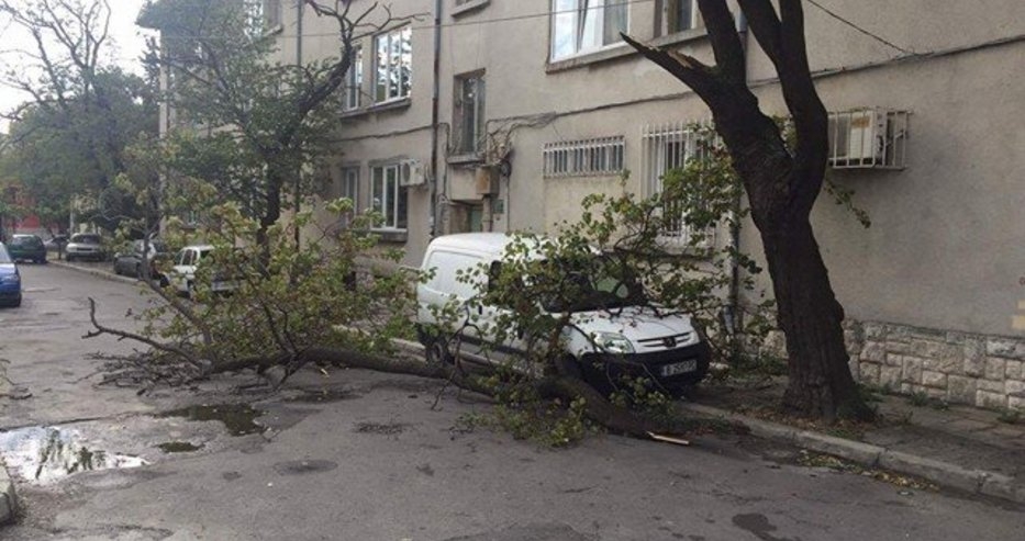 Очевидец в ужас: Клон се стовари върху кола на улица във Варна