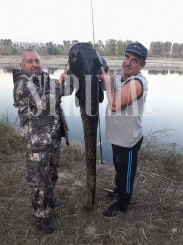 Уха, какъв звяр! Българин извади от водите на езерото Керкини в Гърция 30-килограмов сом (СНИМКИ)