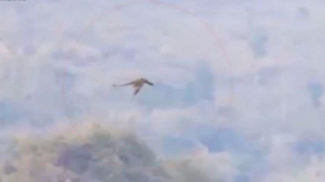 Интернет хит! Заснеха жив дракон в небето над Китай (ВИДЕО)