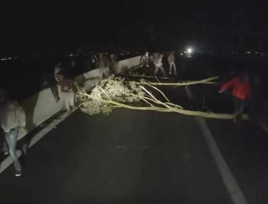 Пак ужас в Кале! Мигранти препречиха с дървета пътя на камион, нападнаха шофьора (ВИДЕО)