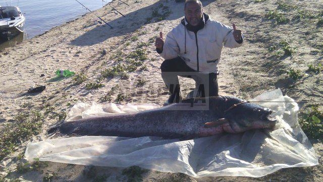 Големият улов: Пловдивчанин извади чудовище от яз. "Пясъчник" (СНИМКИ)