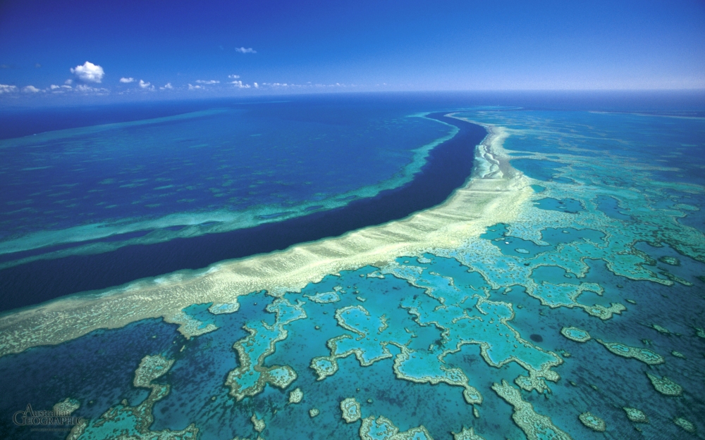 Австралия ще отпусне милиарди за спасяването на Големия бариерен риф
