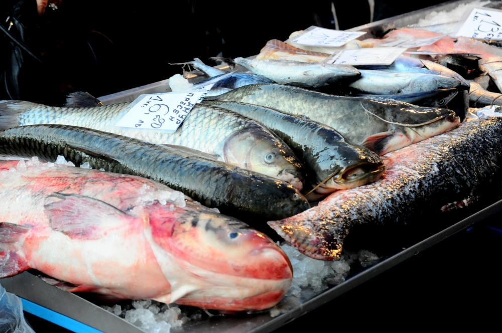 От БАБХ разкриха какво се случва по сергиите с риба тази година